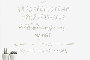 Aliviero Script