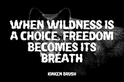 Kinken – Brush Display Font, a Sans Serif Font by Fikryal Studio (Thumbnail 9 of 13)
