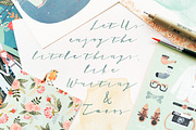 Brandine Script, a Script Font by BlueRobinDesignShop (Thumbnail 4 of 6)