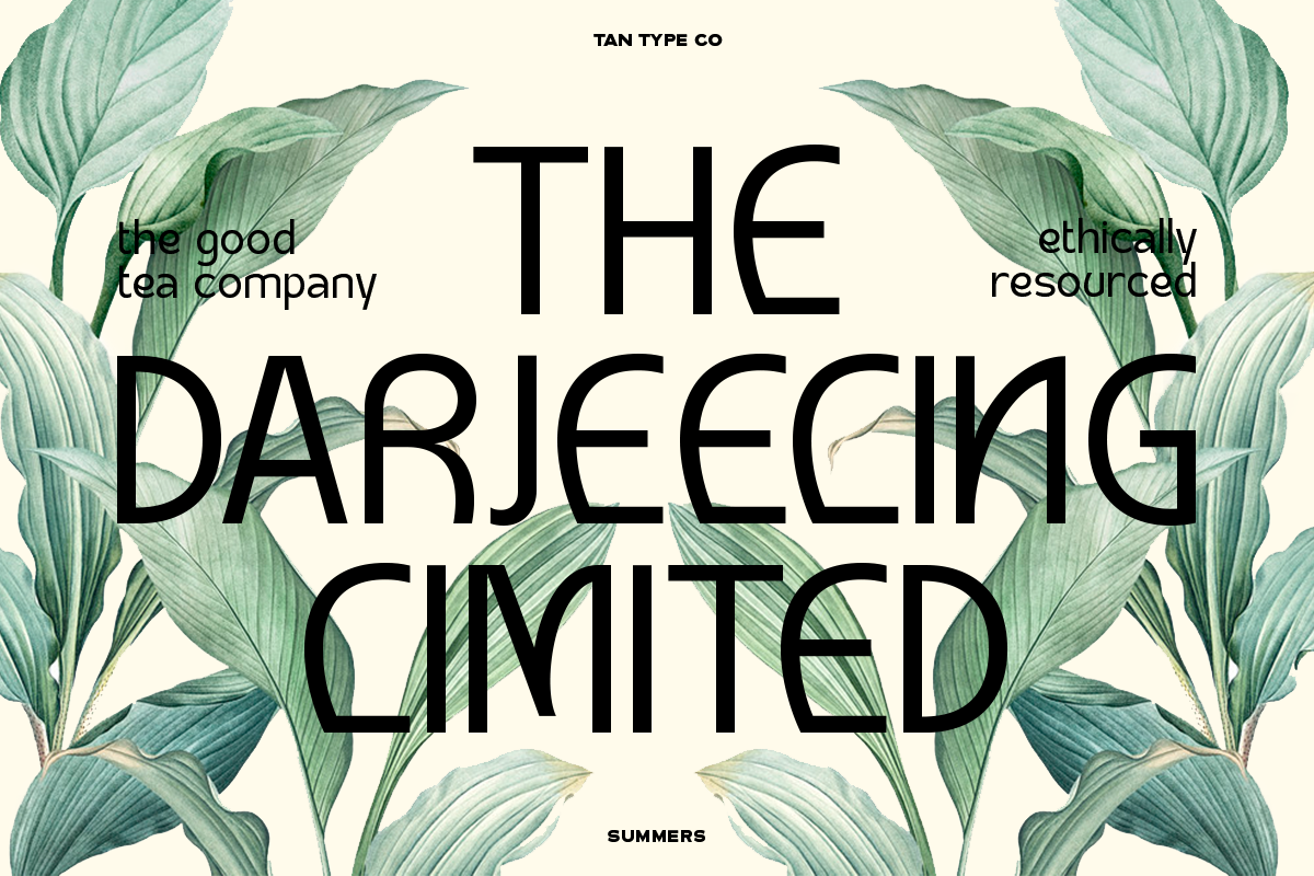 TAN - SUMMERS, a Sans Serif Font by TanType (Photo 4 of 10)