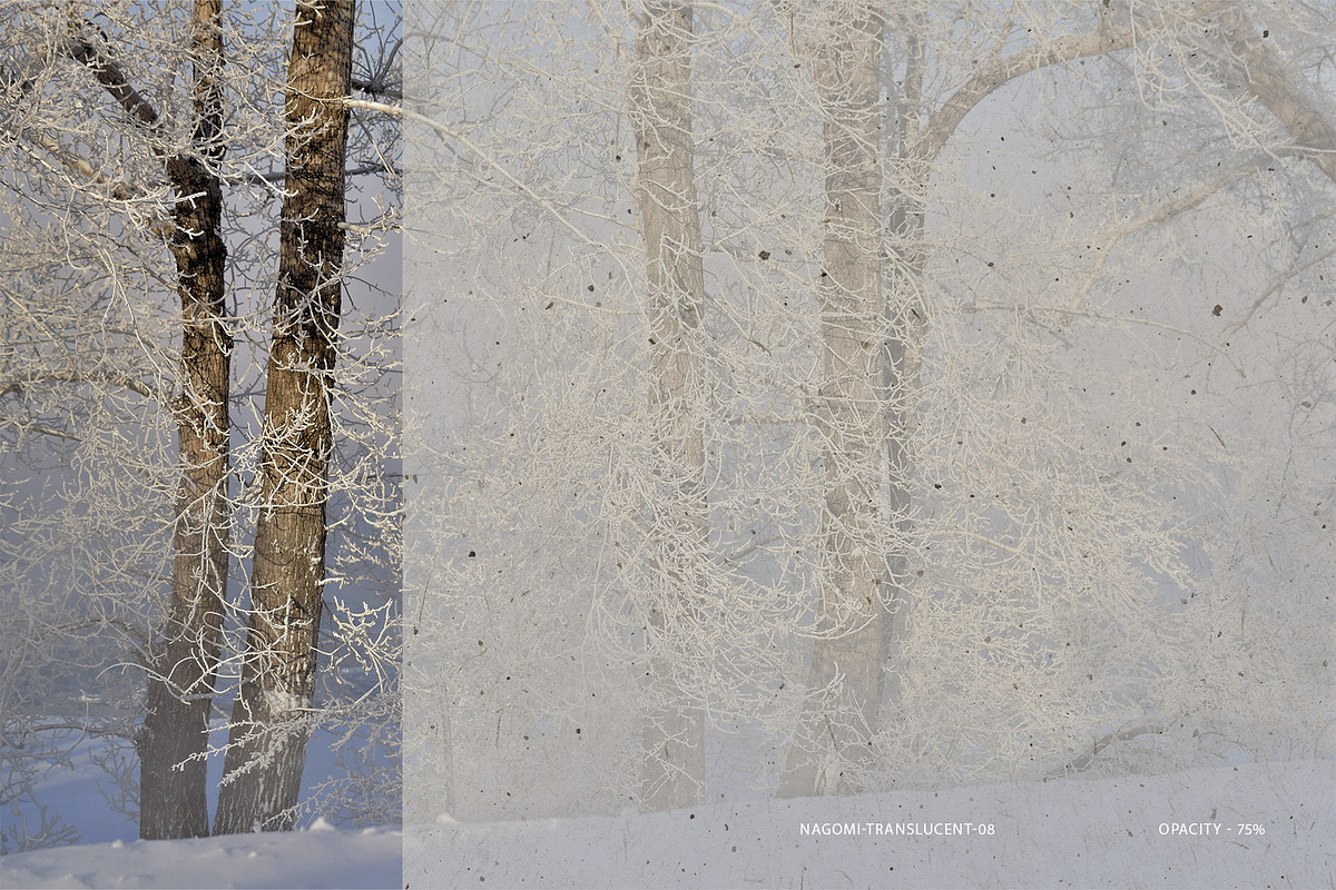 Nagomi - Japanese Paper Textures, a Texture Graphic by alonahaidash (Photo 23 of 26)