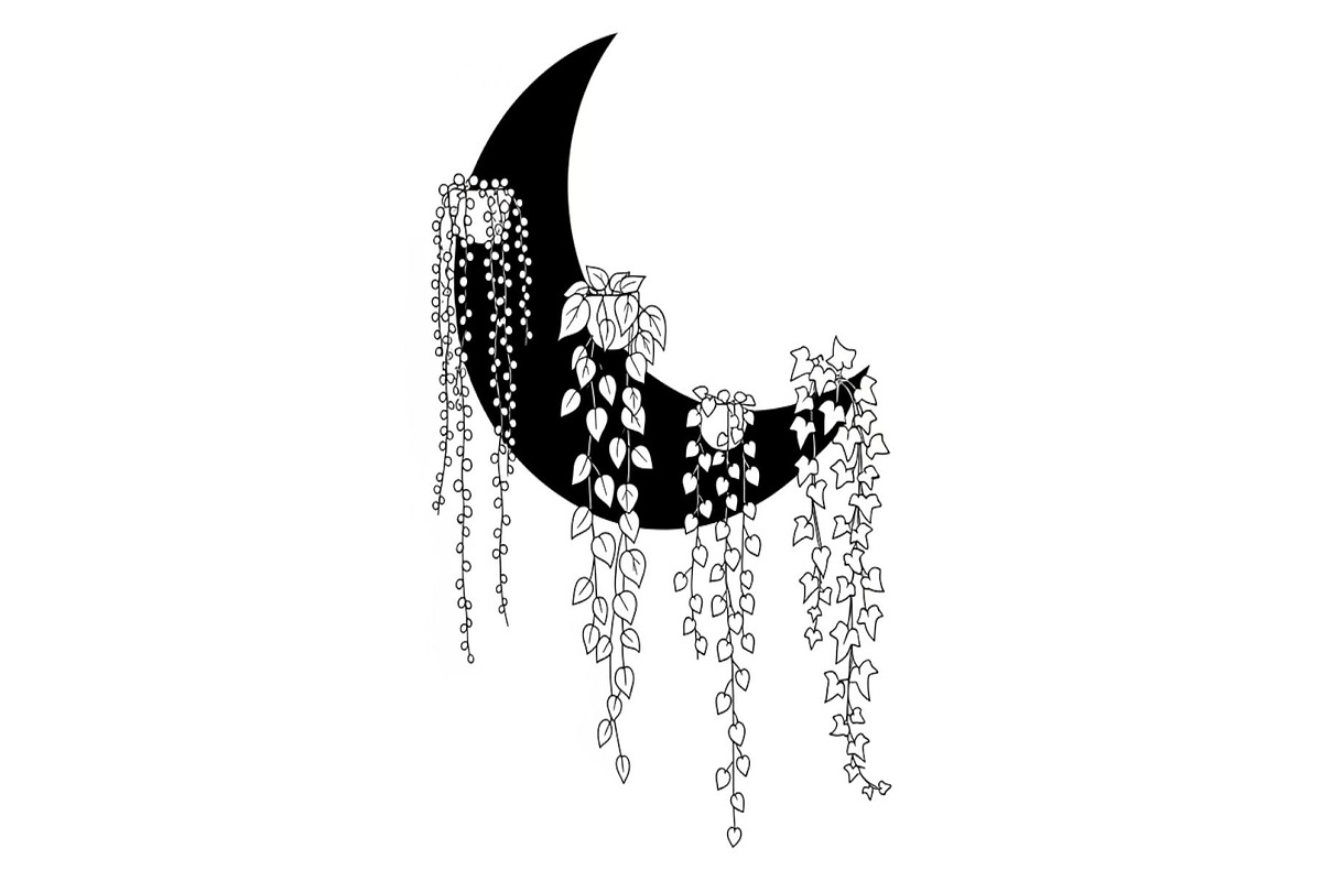 Hanging Moon with Plants Bundle, an Illustration by Designs_River (Photo 31 of 31)