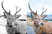 Vector Drawing Photoshop Action, an Action Add-On by MRI STUDIO (Thumbnail 8 of 14)