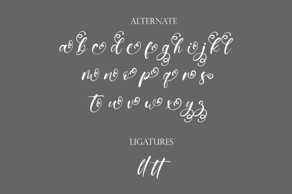 Nebula Script - A Modern Script, a Script Font by Universitype (Photo 10 of 11)