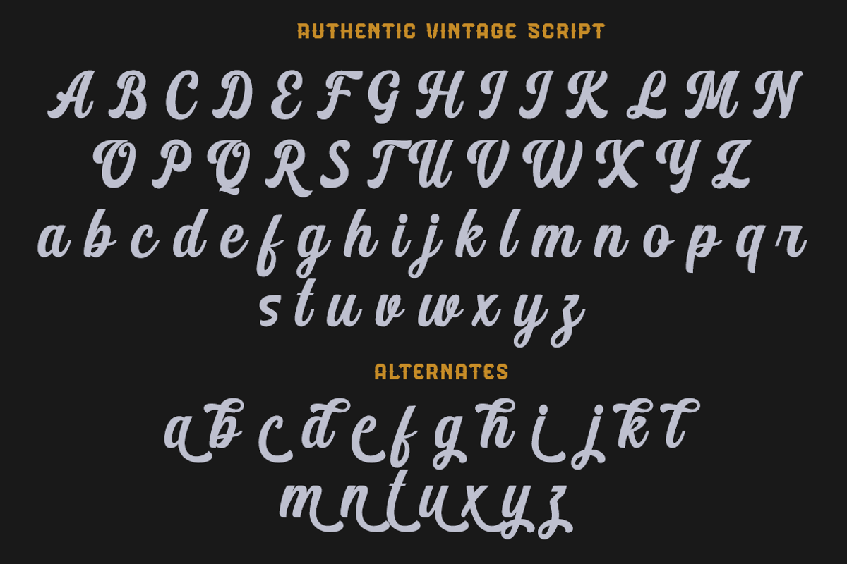 Authentic Vintage Sans & Script, a Script Font by Absonstype (Photo 10 of 12)