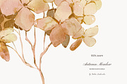 Autumn Meadow Watercolor Florals, a Seasonal Illustration by Yuliia Lashevska (Thumbnail 8 of 14)