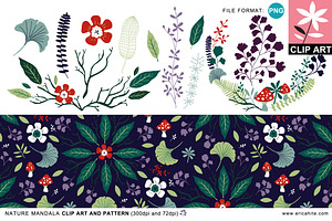 Nature Mandala: Clip Art & Pattern