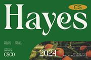 CS Hayes – Art Nouveau Font, a Serif Font by Craft Supply Co. (Thumbnail 1 of 8)