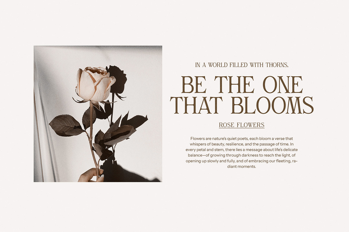 Gilvan Modern Serif Font, a Serif Font by Perfectype (Photo 6 of 8)