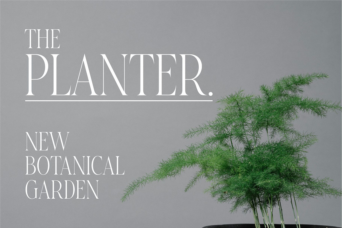 Baqier Modern Serif Font, a Serif Font by Dylla_studio (Photo 6 of 9)