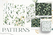 Eucalyptus watercolor leaves clipart, a Decorative Illustration by Yuliya Derbisheva (Thumbnail 9 of 15)