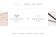 100 Delicate Feminine Logos, a Branding & Logo Template by Davide Bassu (Thumbnail 4 of 14)