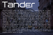 Tander font family, a Sans Serif Font by vlad.berla (Thumbnail 6 of 7)