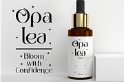Corvail - Elegant Sans Font, a Font by PutraCetol Studio (Thumbnail 8 of 12)