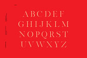 Par Realisation - Serif Typeface, a Serif Font by TypeMaison (Thumbnail 2 of 14)