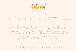 Destined Duo Brush Sans & Signature