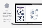 Australian Botanicals 4 in 1 Bundle, a Decorative Illustration by rouxsupplyco (Thumbnail 7 of 25)