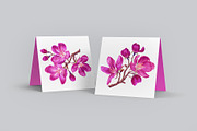4 Apple Tree Flower Branches, an Illustration by MarynaPetrovska (Thumbnail 11 of 14)