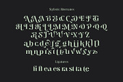 Segina - Decorative Serif, a Serif Font by creativemedialab (Thumbnail 10 of 12)