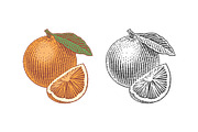 Orange, a Food Illustration by Irina Trusova (Thumbnail 1 of 3)