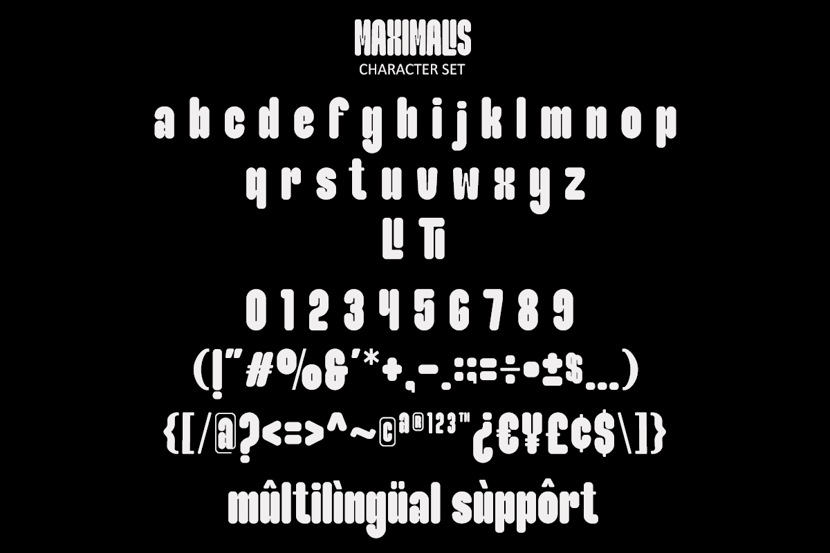 Maximalis, a Sans Serif Font by Say Studio (Photo 13 of 13)