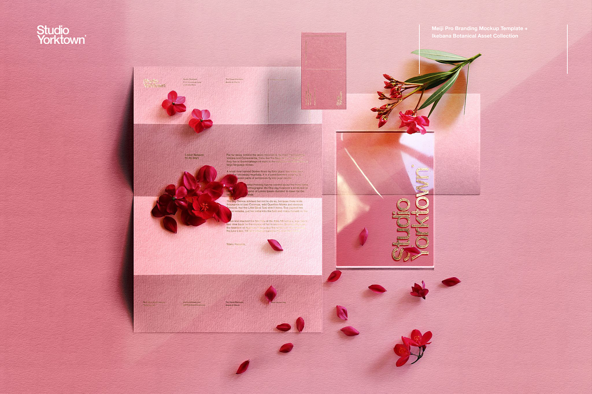 Meiji Pro Branding Mockup Template, a Mockup by Studio Yorktown (Photo 7 of 20)