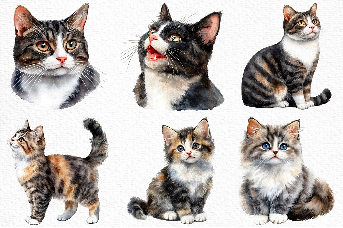 Watercolor Cat Clipart, an Illustration by Craft Nest (Photo 6 of 12)