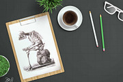 Simple Mockup Scene Creator, a Books & Magazine Mockup by Aedon Design (Thumbnail 4 of 7)