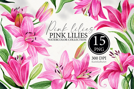 Watercolor Pink Lily Floral Elements, an Object Graphic by KarinkaBU