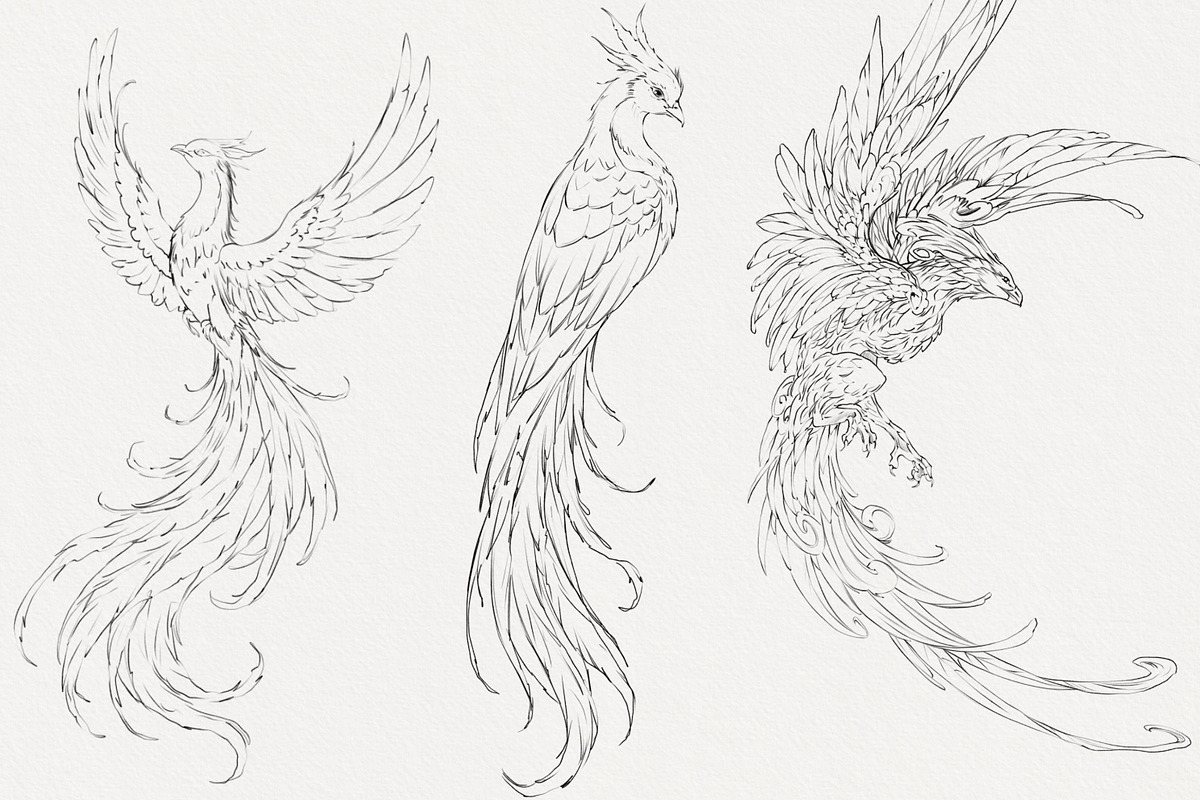 Procreate Phoenix stamps with flower, a Brush Add-On by AnnaPolitmerskaja (Photo 3 of 5)