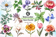 Watercolor Vintage Botanical Clipart, an Illustration by Canvas Craft (Thumbnail 1 of 3)