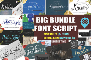 BIG BUNDLE FON SCRIPT