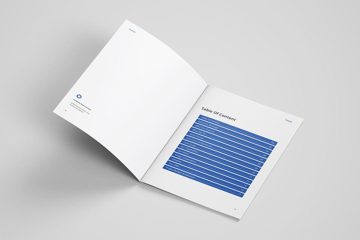 The Proposal, a Stationery Template by azadcsstune (Photo 3 of 11)