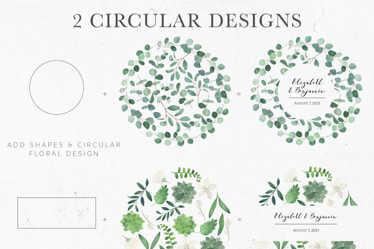 Modern Botanicals Florals & Leaves, an Illustration by Momo Studio (Photo 10 of 15)