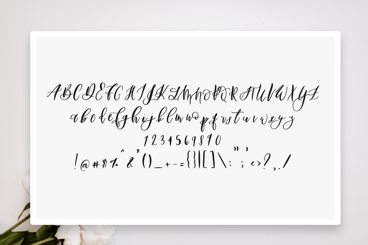 San Francisco Font, a Script Font by The Besotted Co (Photo 12 of 14)