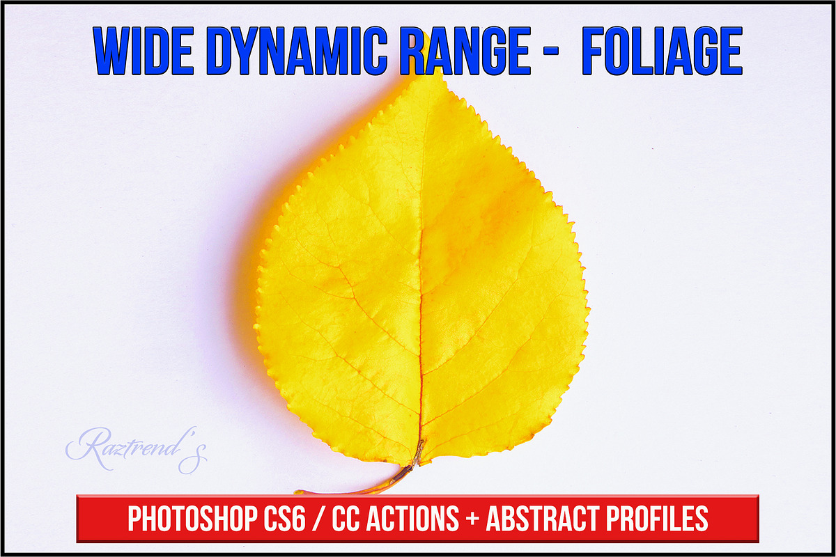 Wide Dynamic Range - Foliage