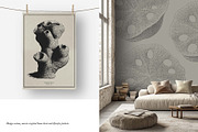 Aquatic Natural History Collection, an Object Graphic by Blixa 6 Studios (Thumbnail 18 of 24)