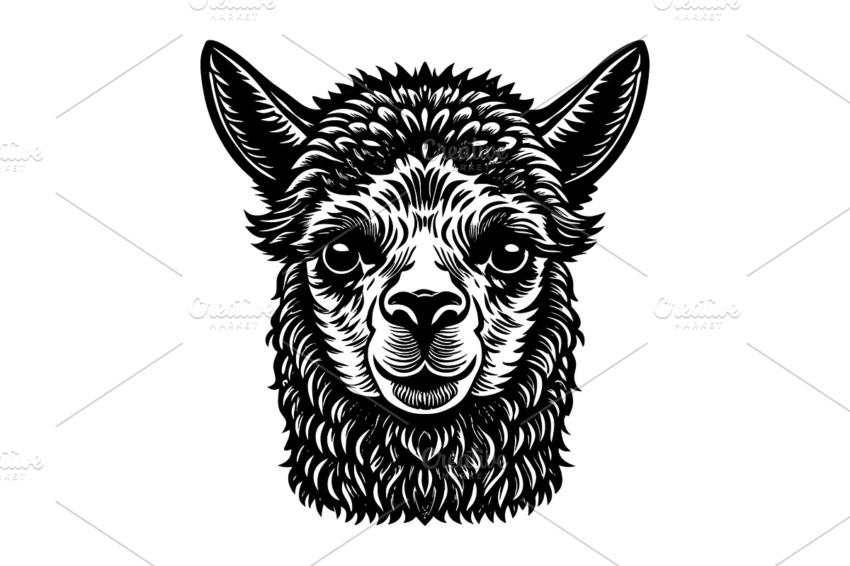 Alpaca, an Illustration by Mark1987
