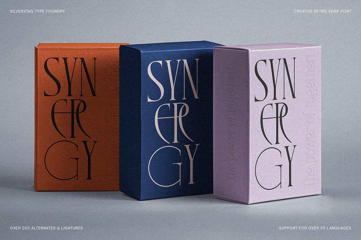 SLTF Rogue Rebellion - Ligature Font, a Serif Font by SilverStag Type Foundry (Photo 10 of 30)
