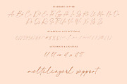Millionist - Elegant Signature Font, a Font by RantautypeStudio (Thumbnail 10 of 11)