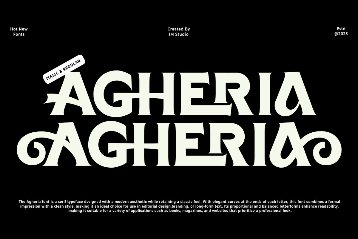 Agheria, a Serif Font by IM Studio (Photo 1 of 12)