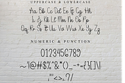Disney, a Handwritten Font by FreshTypeINK (Thumbnail 8 of 8)