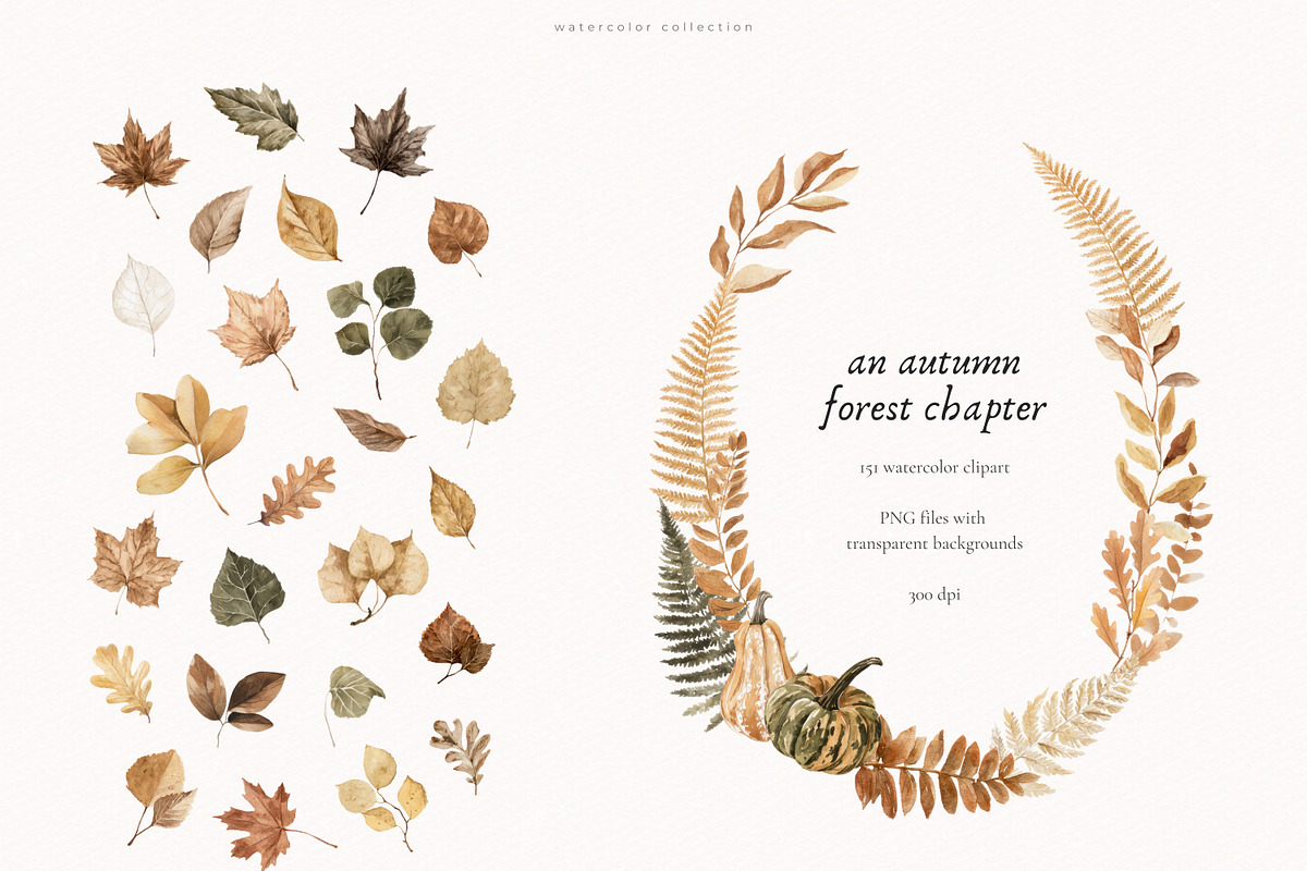An Autumn Forest Chapter Collection, an Animal Illustration by PeDe Designs (Photo 17 of 29)
