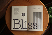 CS Gains – Classic Font, a Serif Font by Craft Supply Co. (Thumbnail 7 of 8)