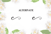 Jasmine | Script Font, a Handwritten Font by Scratchones (Thumbnail 8 of 9)
