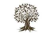 Vector oak tree silhouette, an Object Graphic by provector (Thumbnail 1 of 2)