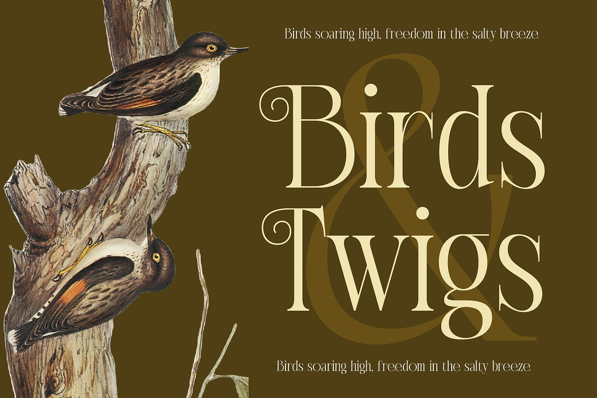 Exago Maona Vintage Serif Display, a Serif Font by timelesstype.co (Photo 14 of 20)