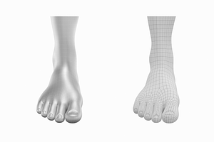 Human Feet Standing Base Mesh