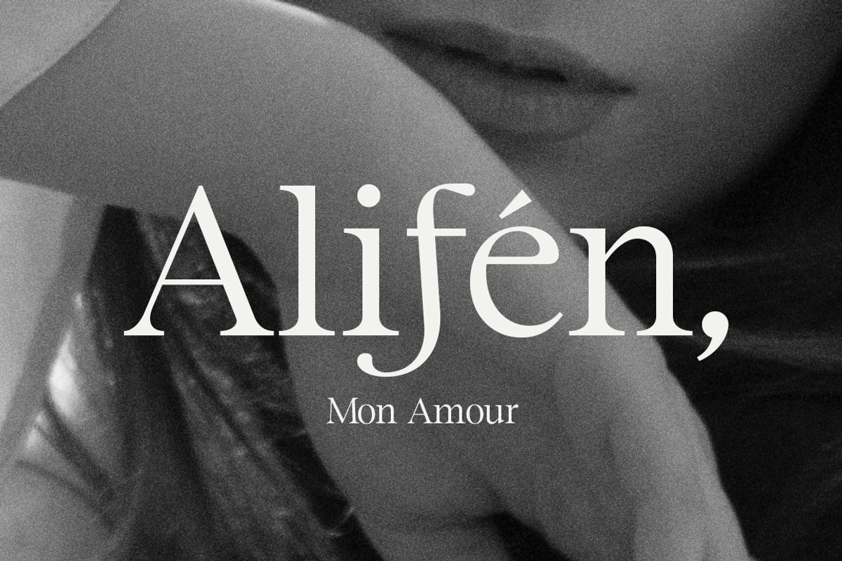 Maister//Display Serif, a Serif Font by Dora Typefoundry (Photo 12 of 20)