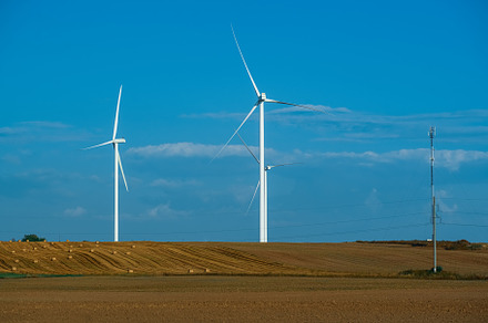 Wind power generators in the field